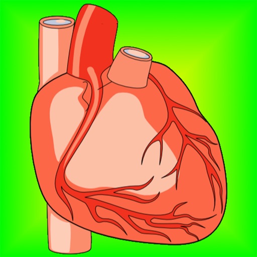 Heart Health: Heart Healthy Living Facts & Tips Heart Health: Heart Healthy Living Facts & Tips