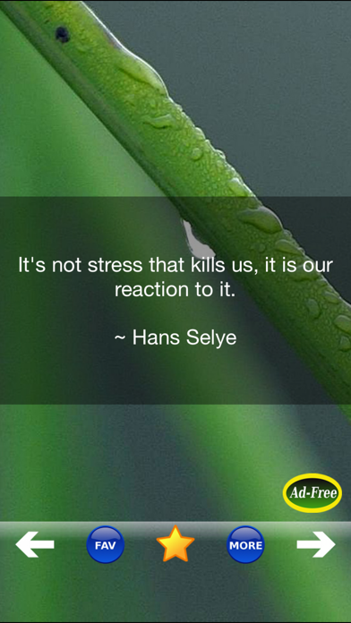 Tangkapan layar Stress Relief & Management App