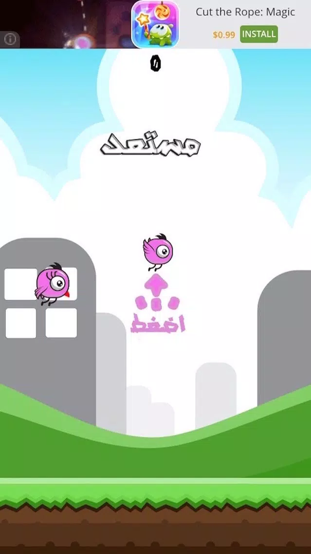 Pink Bird Screenshots