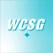 91.3 WCSG