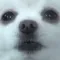 Gabe The Dog SoundBoard