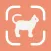 Cat Identifier — Breed Scanner