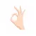 Hands Gestures