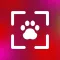 PetCam - Perfect Pet Portraits