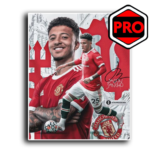 Jadon Sancho - WA Sticker Pro