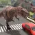 Dinosaur Simulator Trex Destruction Jurassic Forest & City Hungry Dino Carnage