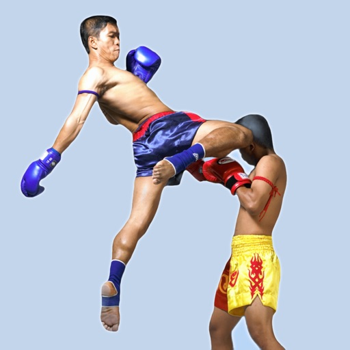 Muay Thai: The Complete Series Muay Thai: The Complete Series