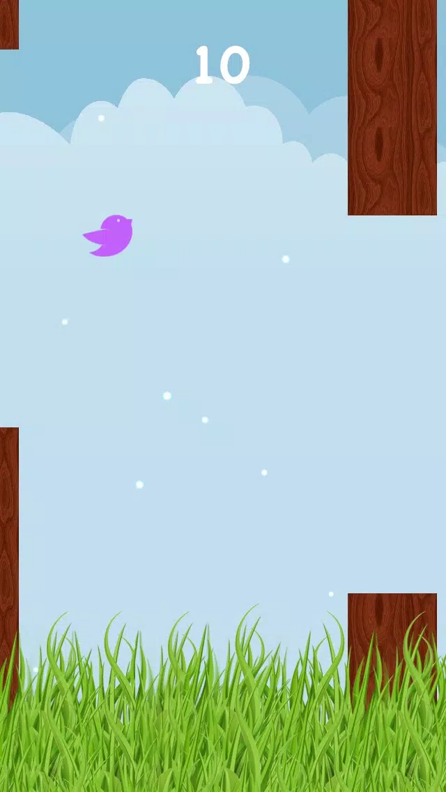 Flying Birdie - Fly in the woods স্ক্রিনশট