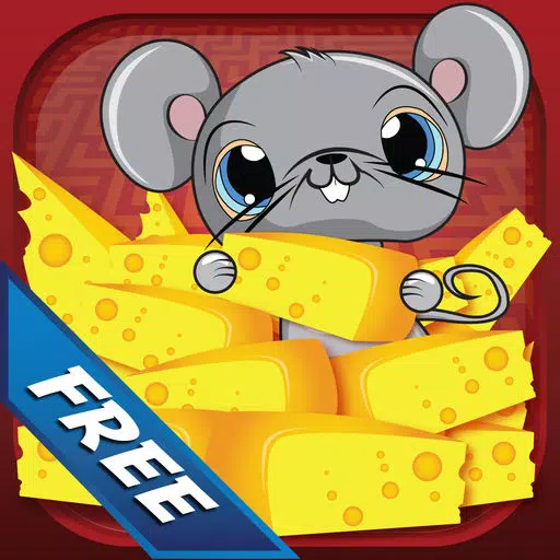 The Mouse Maze Challenge The Mouse Maze Challenge