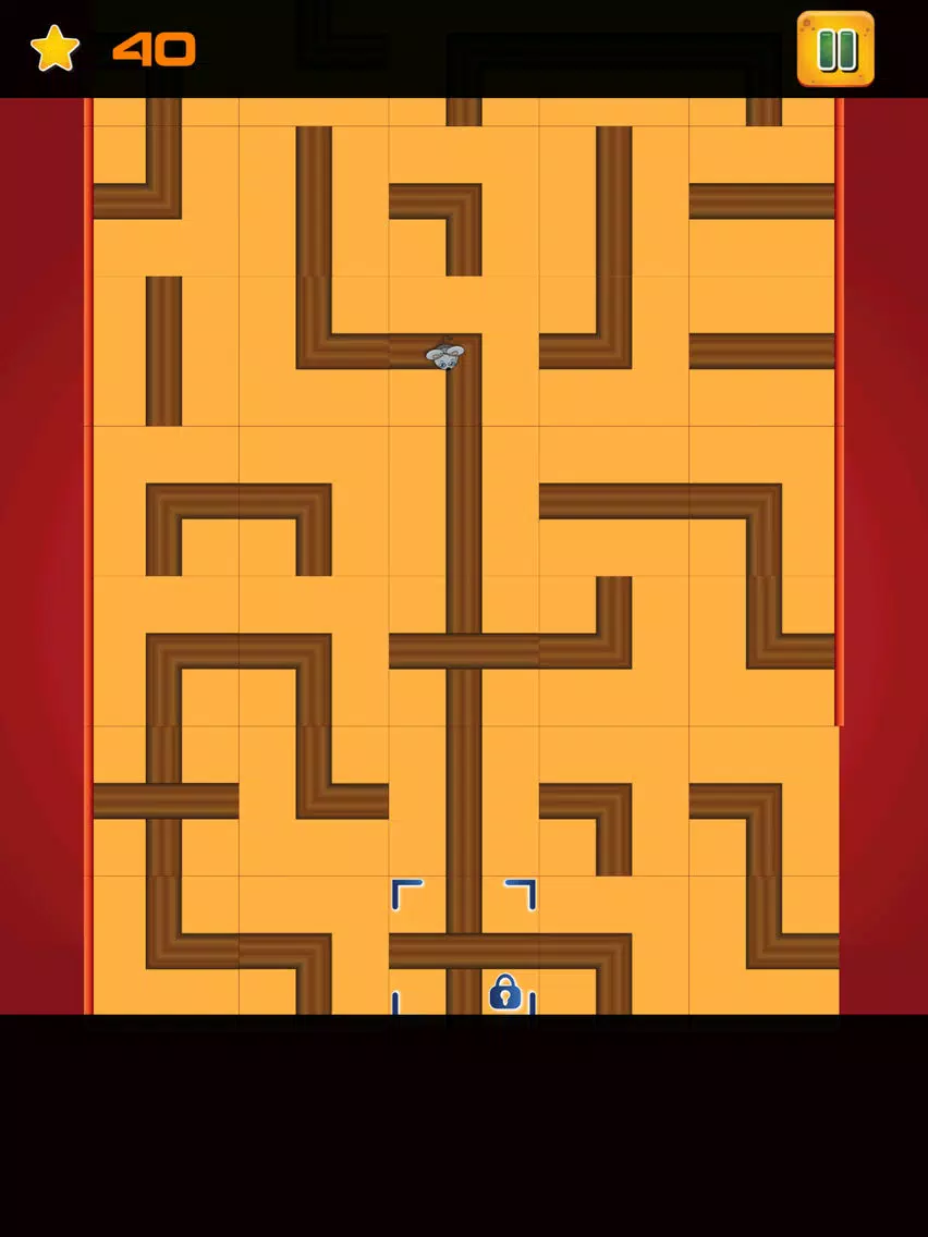 The Mouse Maze Challenge Game Pro iPad Screenshots