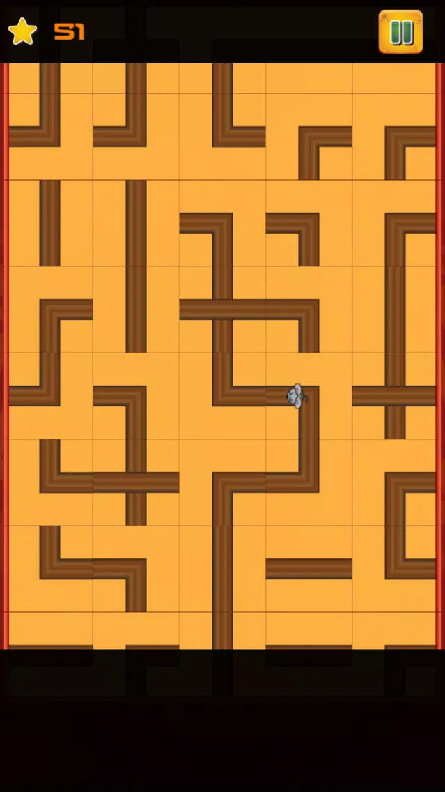 The Mouse Maze Challenge Game Pro Screenshots
