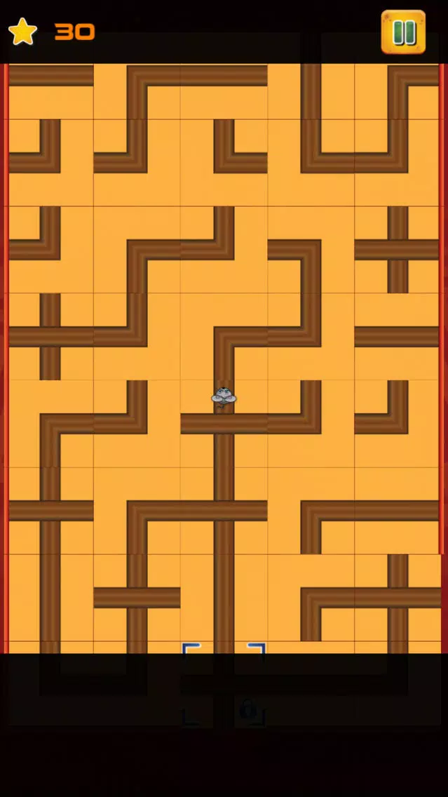 The Mouse Maze Challenge Game Pro Screenshots