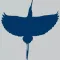 Flying Birds With Math Trivia