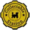 COLLECTABLE STATION SRL