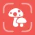 Mushroom Identifier: ShroomID