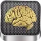 Brain Anatomy