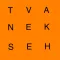 Jumbled Word Solver Advanced