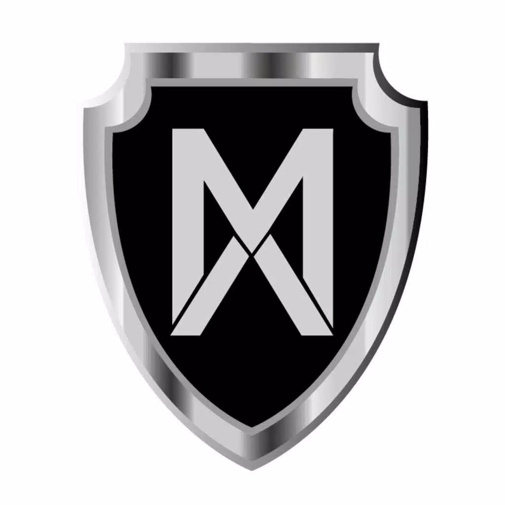 MVX Security Solutions MVX Security Solutions
