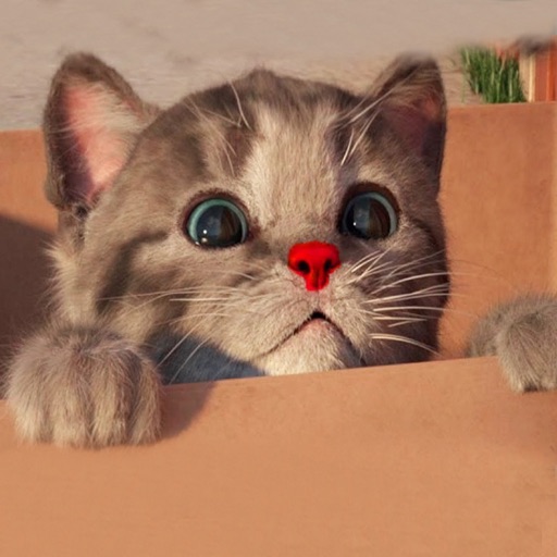 Cute Cat City Game Cute Cat City Game