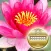 MWC.Heart Sutra