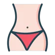 Slim Fast Internet Browser