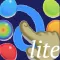 WhiteBoard Lite