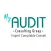 Audit Consulting Group