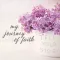 My Journey of Faith Ministries