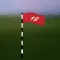 HoleInSome Golf Scorecard