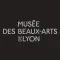 MBA, Musée des Beaux-Arts Lyon