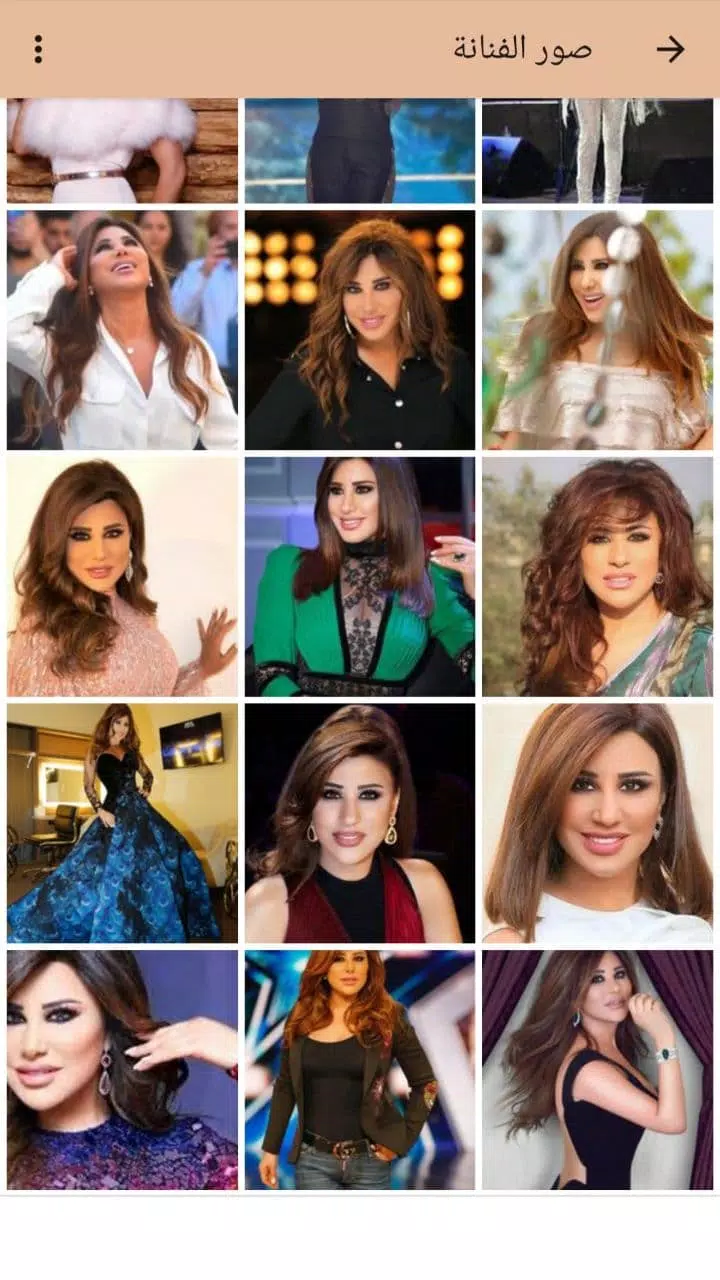 Mp3 أغاني لنجوى كرم Screenshots