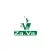Zava