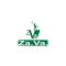 Zava