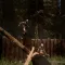 Sons Of The Horror Forest Game