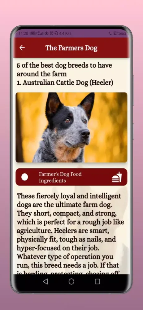 The Farmers Dog Screenshots