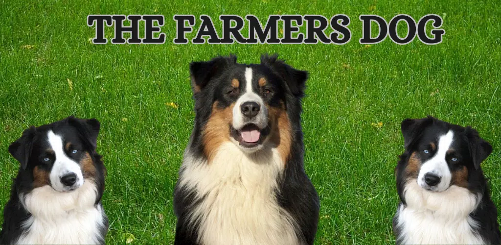 The Farmers Dog應用截圖