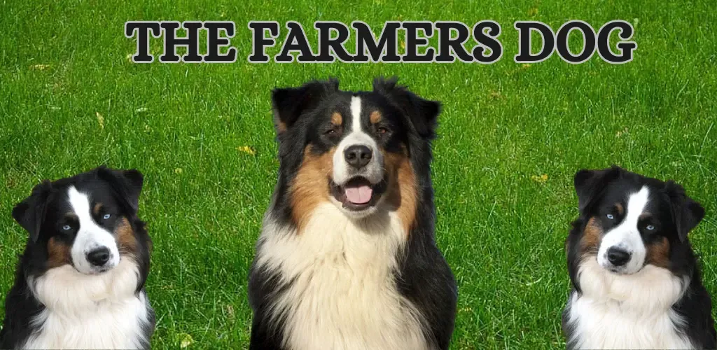 The Farmers Dog Screenshots