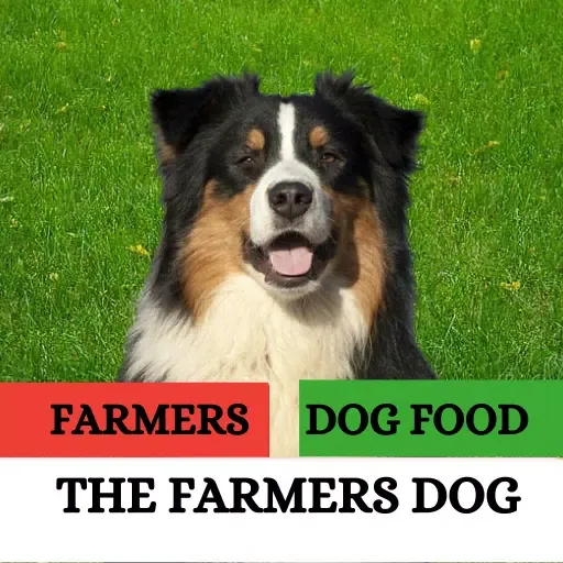 The Farmers Dog Screenshots