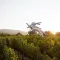 Hall Wines St. Helena Tour