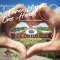 Bobcaygeon TSW Trail Town