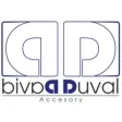 DD ACCESORY