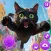 My Cute Cat Explore Big City