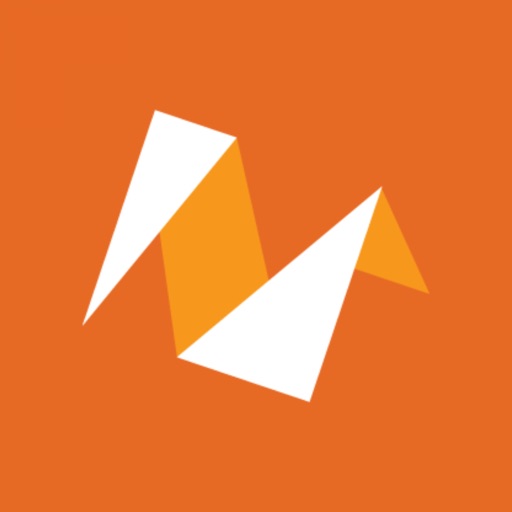N2F - expense report & mileage N2F - expense report & mileage