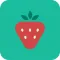 BLW Meals: How to Start Solids