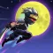 Ninja Shadow Fight