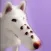 Dog ASMR: Skincare & Makeover