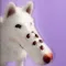 Dog ASMR: Skincare & Makeover
