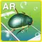 물에 사는 내친구 AR Book