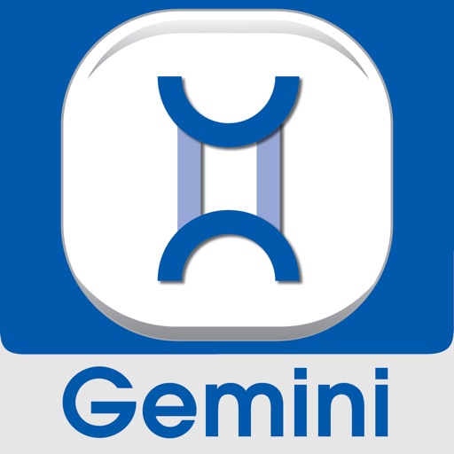 Gemini Commercial Security App Gemini Commercial Security App