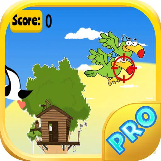 Duck Shooter Game Duck Shooter Game